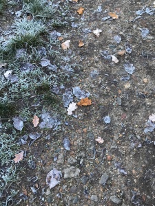 Frosted leaves and grass on a path